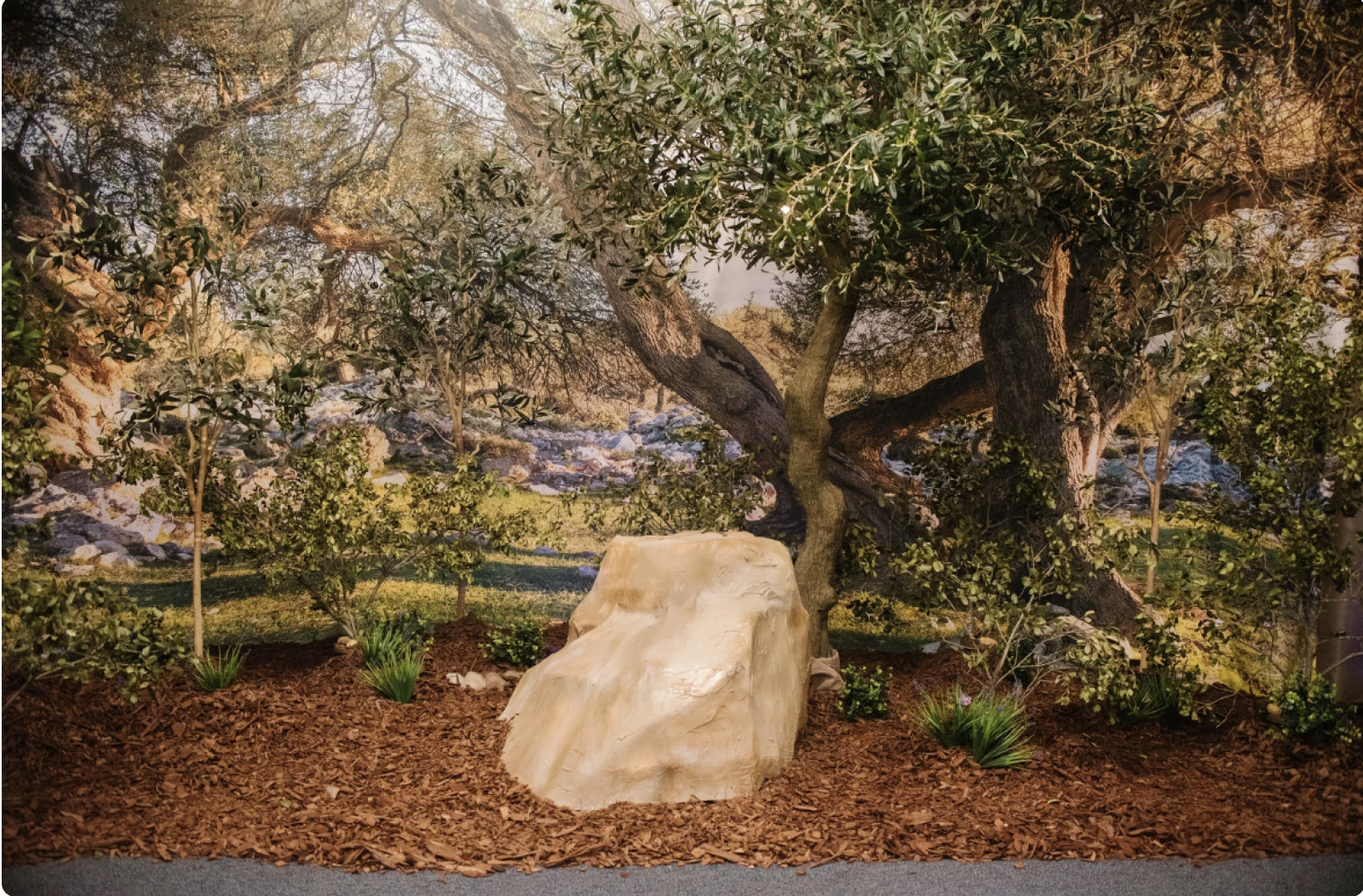 Garden of Gethsemane